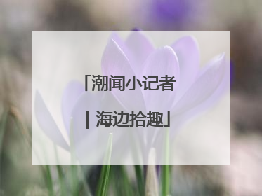 潮闻小记者｜海边拾趣